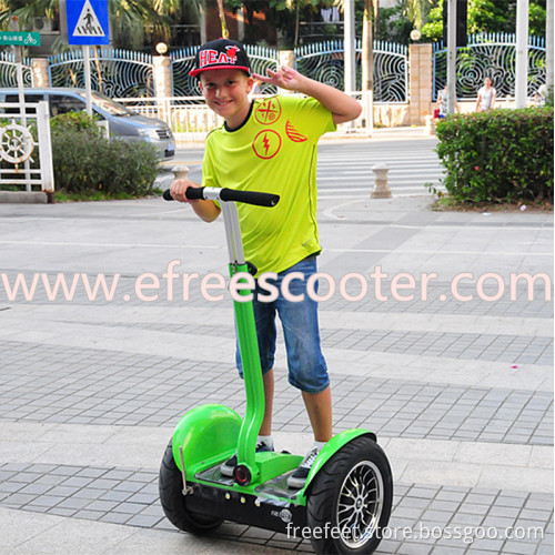 FreeFeet City Road Personal Transporter Outdoor Sports 2 Wheels Self Balancing Electric Standing Up Scooter 17" 1600W